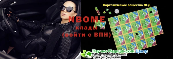 дмт Алзамай