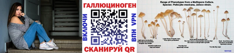 купить   МЕГА сайт  Псилоцибиновые грибы Magic Shrooms  Талица 