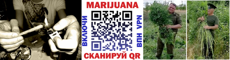 Бошки Шишки THC 21%  Талица 